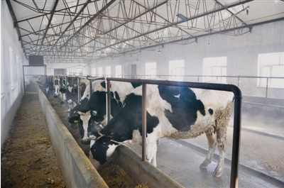 黑龍江齊齊哈爾富?？h光明乳業 一拖三加一 恒壓供水設備